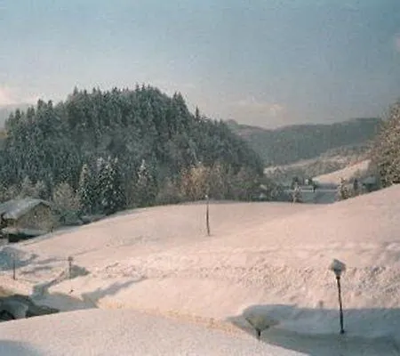 Sport-alpin-wohnung-5 * אוברסטדורף